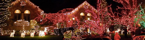 DYKER HEIGHTS CHRISTMAS LIGHTS TOUR